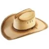 Resistol Men's Jason Aldean Georgia Boy Palm Hat