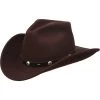 Silverado Men's Rattler Chocolate Wool Crushable Hat